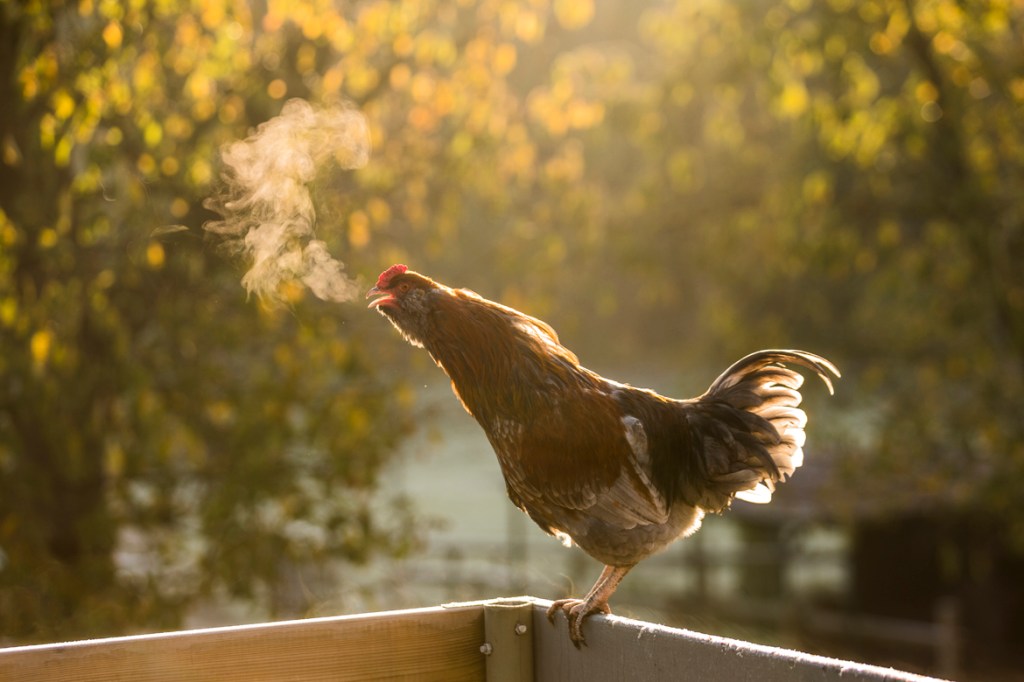 Rule of Life for Advent (and&nbsp;beyond)