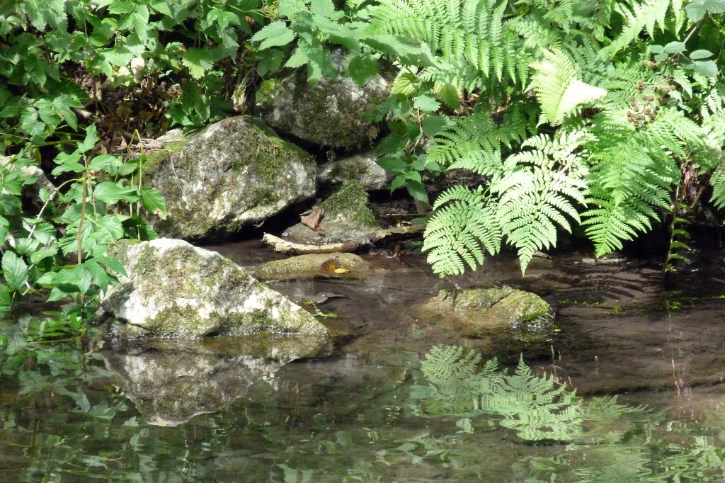 The Eucharist – 30 August,&nbsp;2020