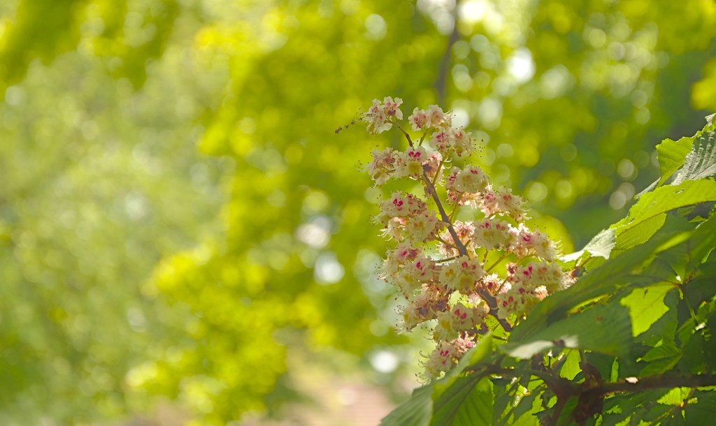 Trinity +1 – 5&nbsp;June